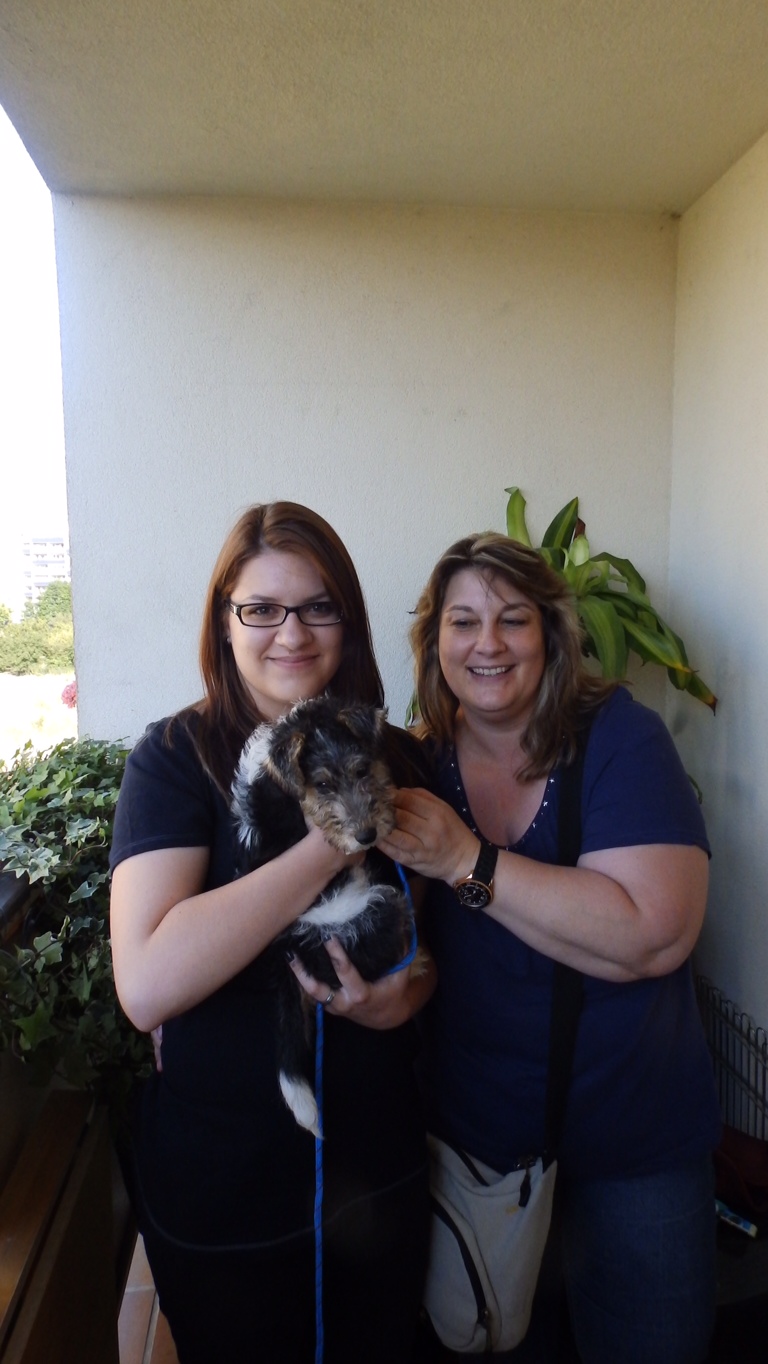 Avid,s neue Familie aus Wien